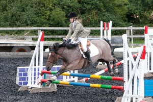 Class 4 - Fences 2'3 to 2'6